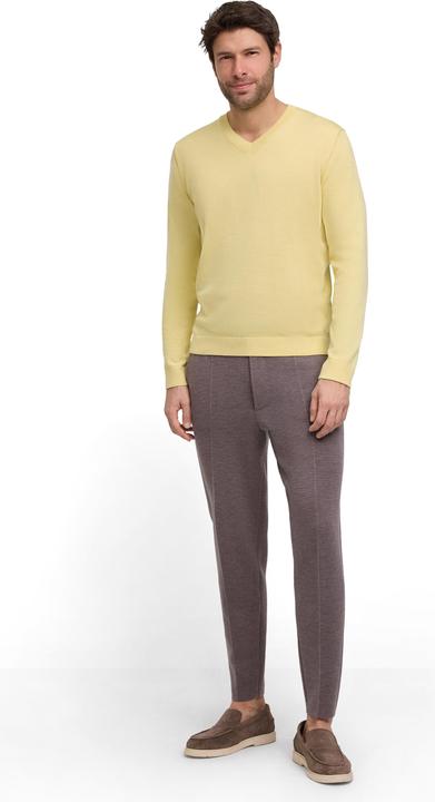 Produktbild Falke FAV Cotton V-Neck m (XL)