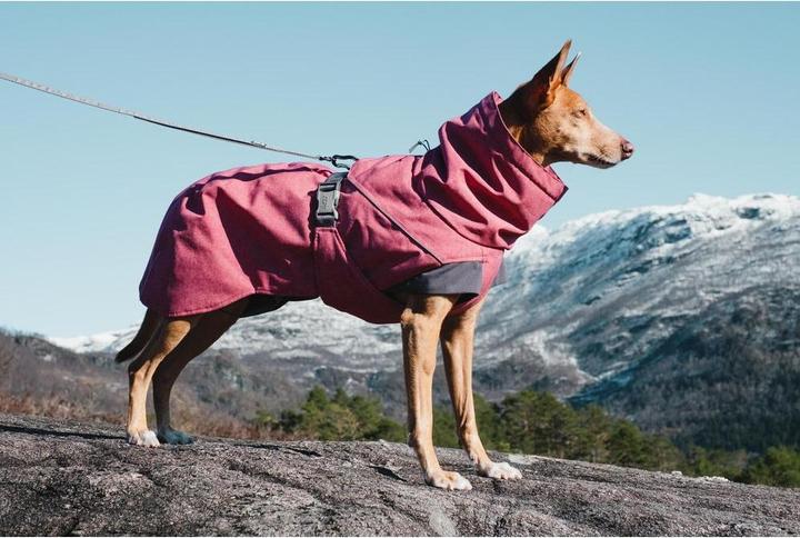 Produktbild Hurtta Expedition (30, XL, Hundemantel)
