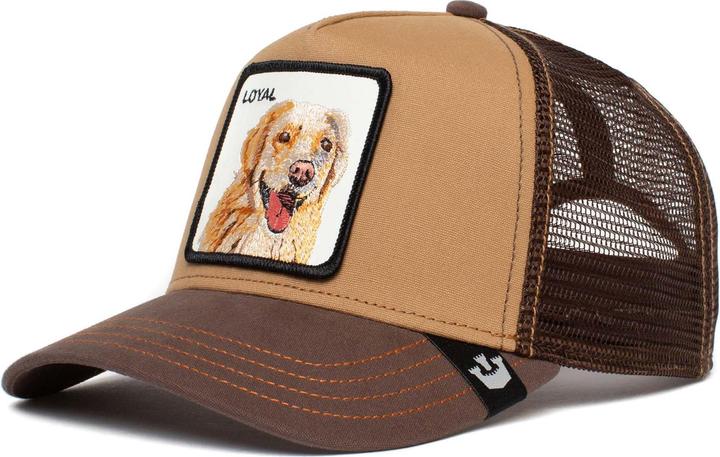 The Loyal Dog