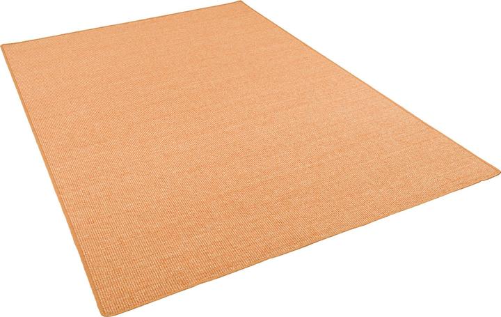 Produktbild Snapstyle Sisal Natur Teppich Klassisch - 9 Farben in 17 Grössen (200 x 250 cm)