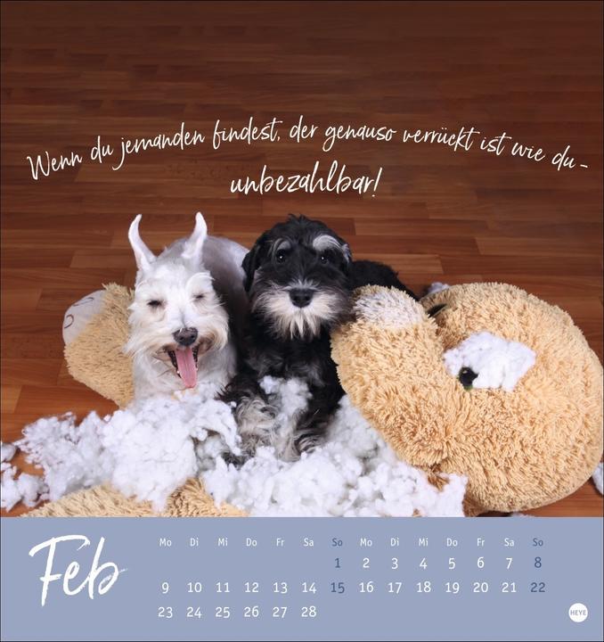 Actual product image Ziemlich beste Freunde Postkartenkalender 2026 - Für immer dein (Hardcover, German)