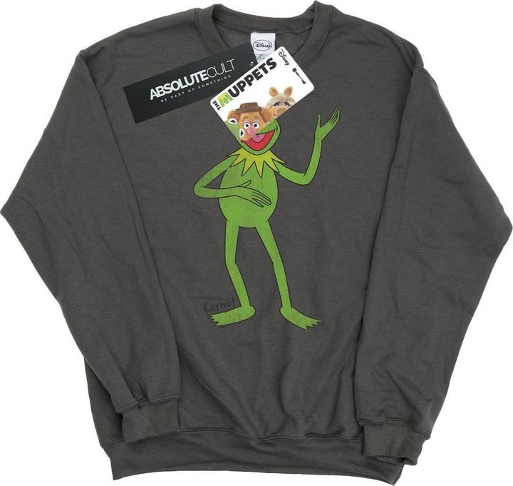 Gildan Classic Sweatshirt (XXL)