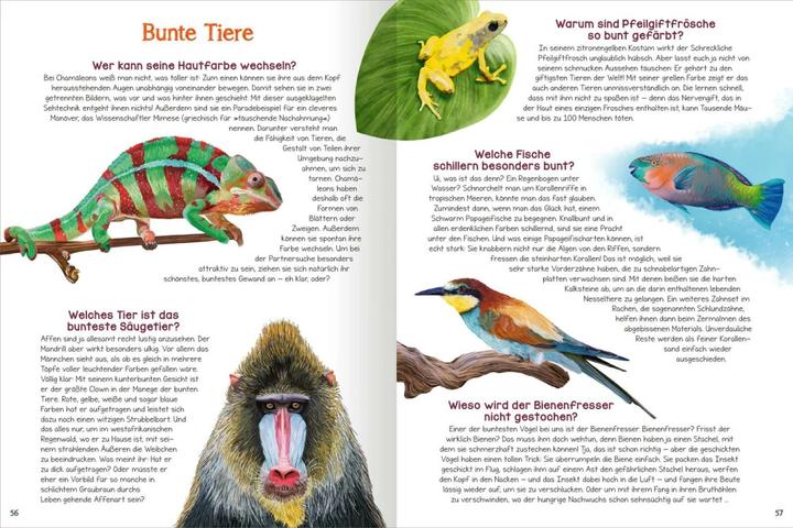 Image du produit Was willst du wissen? Das grosse Fragen- und Antwortenbuch – Tiere (Allemand, Kristine Ortmeier, Angelika Huber-Janisch, 2023)