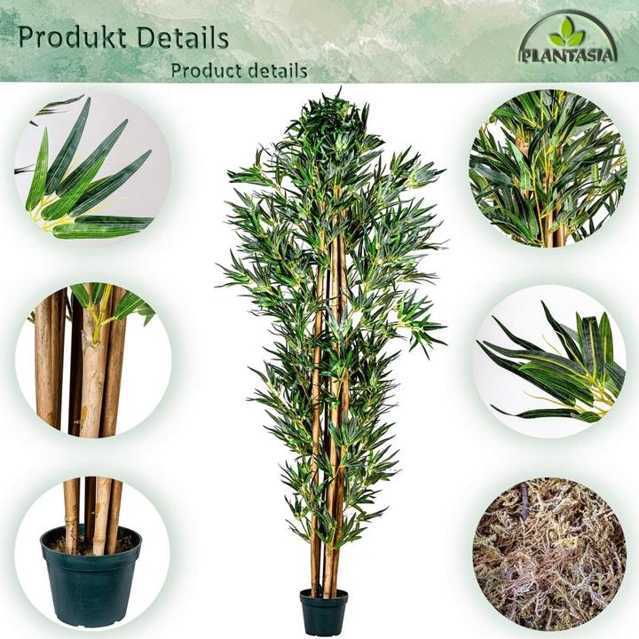 Produktbild Plantasia Bambus Strauch (160 cm)