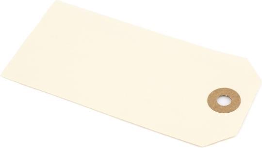 Image du produit Antalis Étiquettes Manilla 30x60mm nature A1 1000pcs/pk - (1000 pcs) (Ruban, 1000 x)