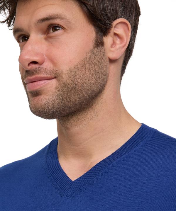 Actual product image Falke FAV Cotton V-Neck m (M)