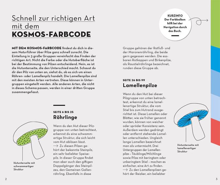 Produktbild Kosmos BASIC Pilze