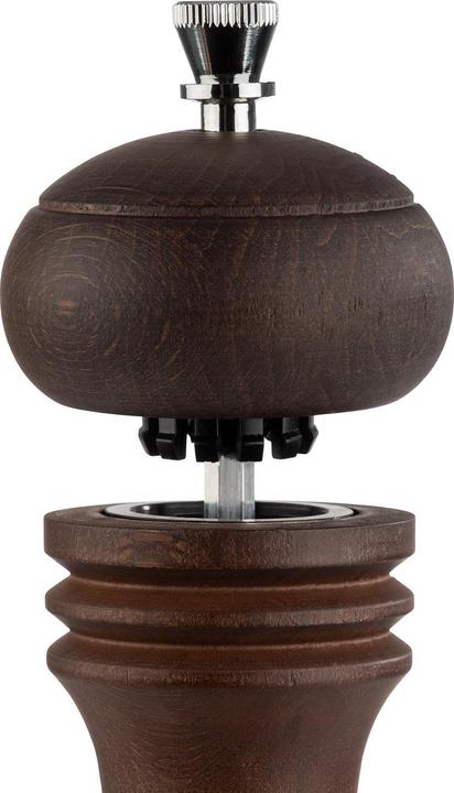 Actual product image APS ETERNAL" salt mill (Salt)