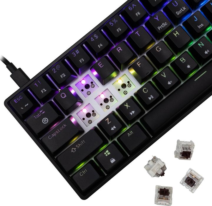 Image du produit White Shark GK-004131 Shinobi-2 Brown switch, Black US (US, Filaire)
