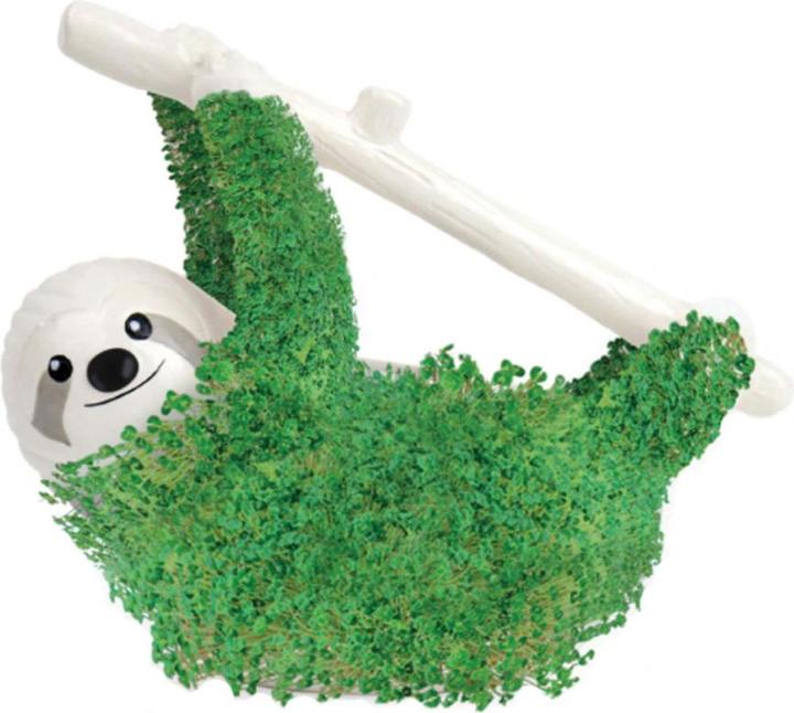 Image du produit TOP Chia paresseux