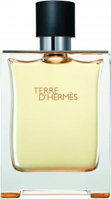 Immagine prodotto Hermès Terre D' (Eau de toilette, 100 ml)