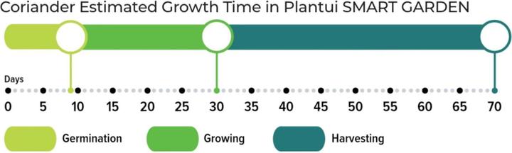 Immagine prodotto Plantui Coriandolo (Semi di erbe)