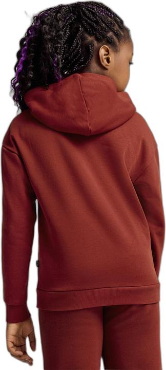 Produktbild Puma ESS+ SCRIPT Metallic Hoodie FL G (152)