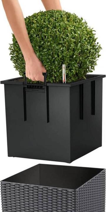Produktbild Lechuza Cube Cottage (49 cm)