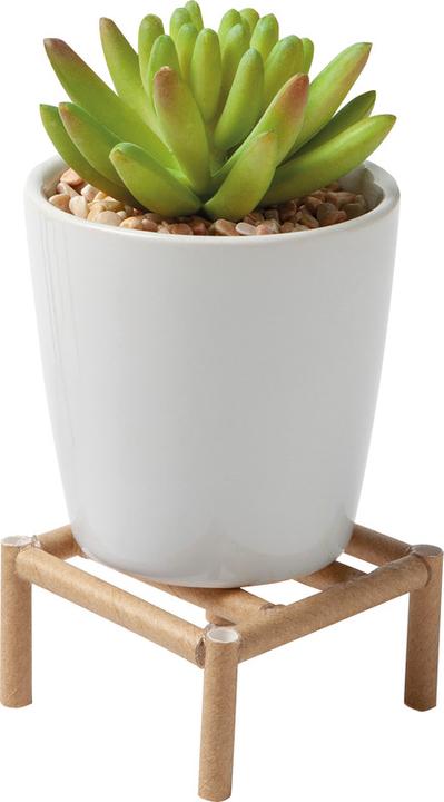 Actual product image Folia Straws (25 x)