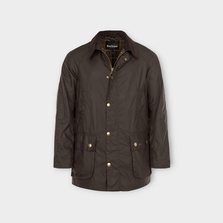 Actual product image Barbour Ashby (XS)