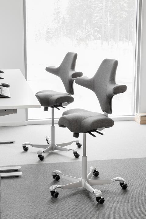 Image du produit HAG Capisco 8106