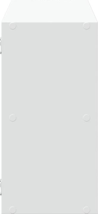 Actual product image VidaXL Wall shelf (100 x 25 x 50 cm)