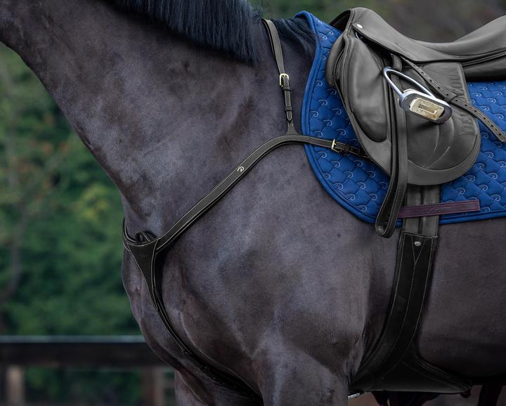 Produktbild Dy'on Jagdhalsband mit langem Steg für Pferde