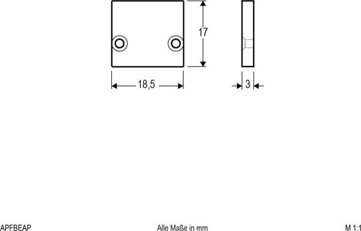 Actual product image EVN APFB EAP black Aluminium end cover plate