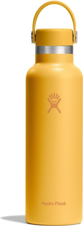 Rayon de soleil