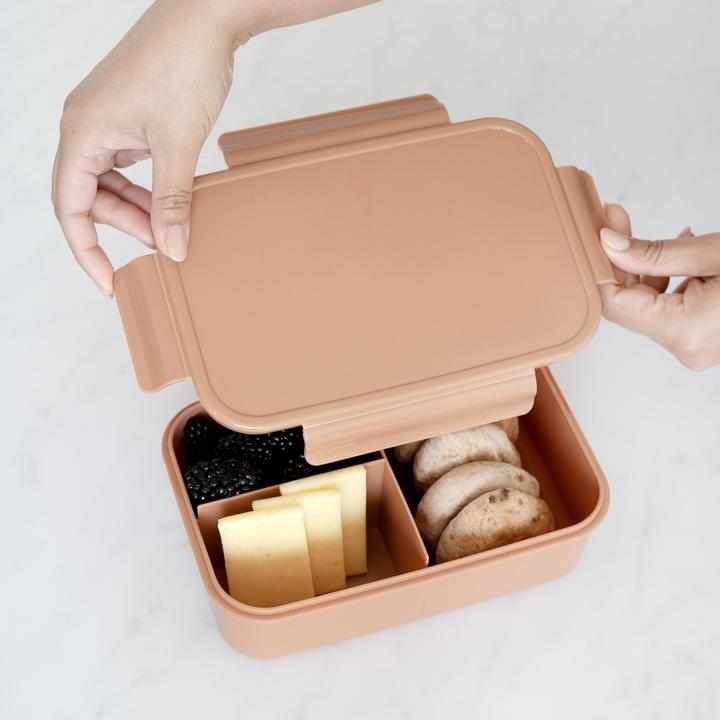 Actual product image 3 Sprouts Lunch Box, Rust - (IBBSRT)