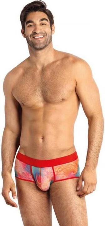Anais Men's briefs "Falcon (S, M, L, XL, XXL, 3XL)
