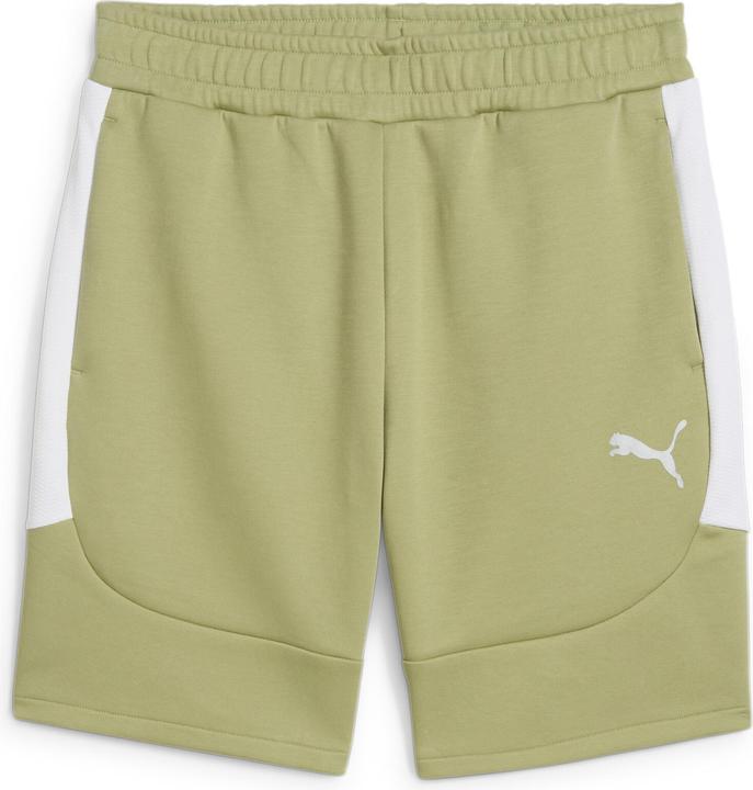 Image du produit Puma Short teamEVOSTRIPE (S)