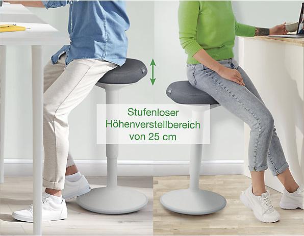 Actual product image Leitz Ergo Active