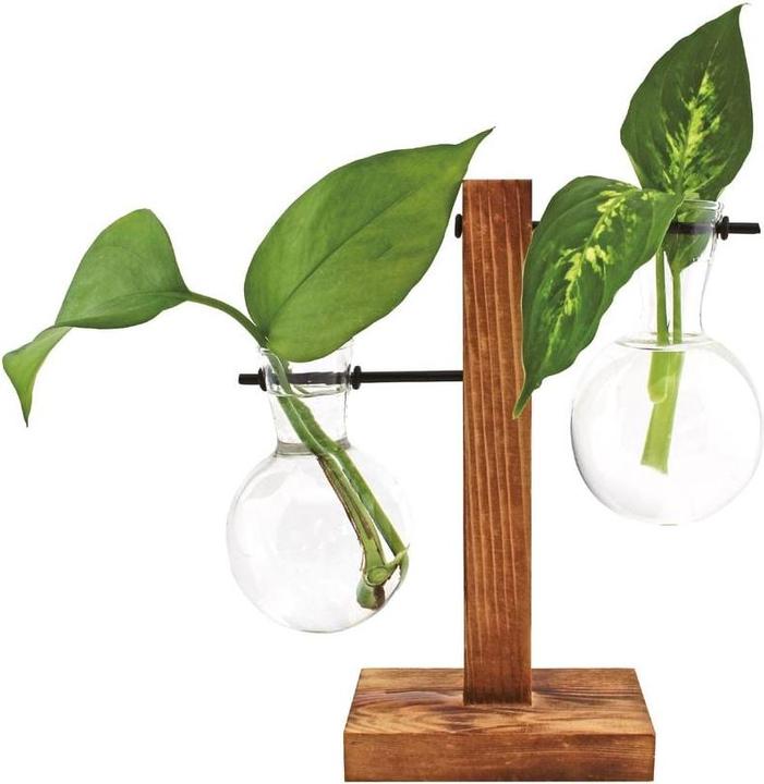 Winkee Hydro Vases Lilly - Vaso (1 x)
