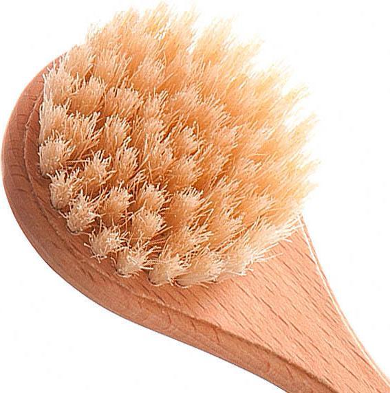 Actual product image Biovan Gesichtsbürste