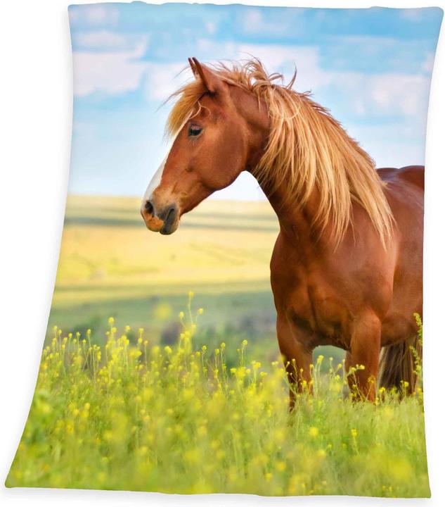 Produktbild Herding Pferd (160 x 130 cm)