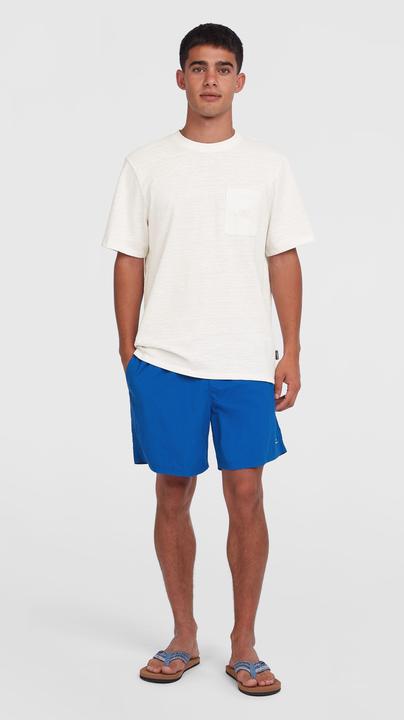 Actual product image O'Neill VERT 16" SWIMSHORTS (XXL)