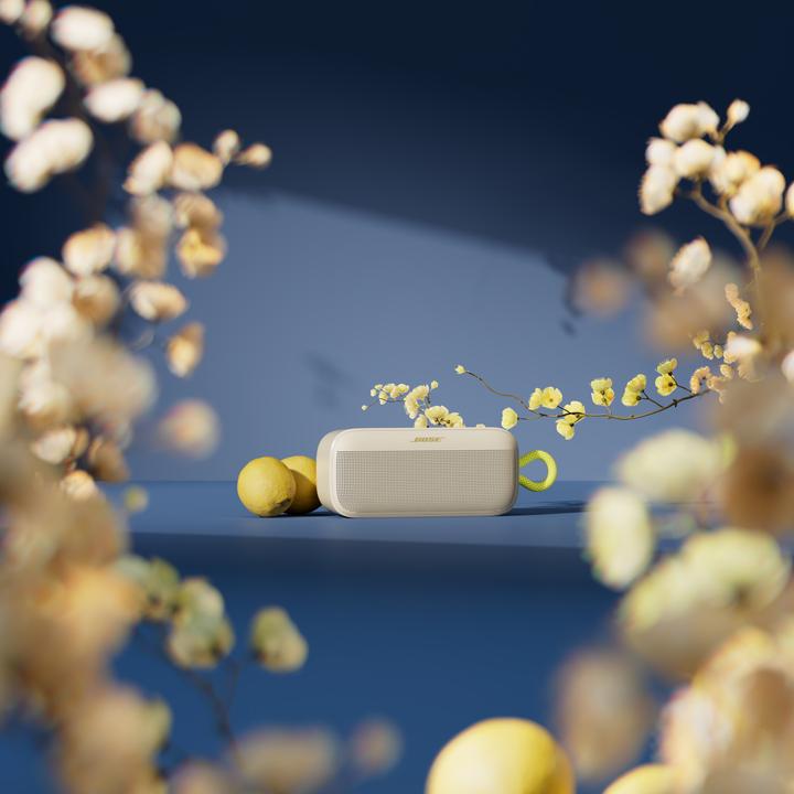 Image du produit Bose Soundlink Plus (20 h, Fonctionnement sur batterie)