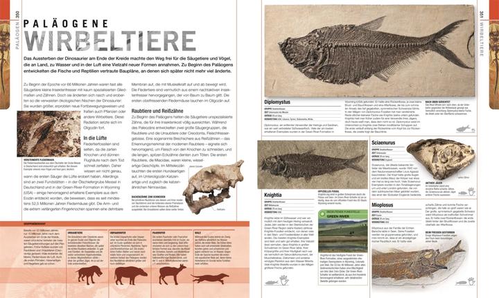 Produktbild Dinosaurier und andere Lebewesen der Urzeit (Deutsch, Dr. Andrea Kamphuis, DK Verlag, Eva Sixt, Fiona Coward, Stephan Matthiesen, Douglas Palmer, Kim Dennis-Bryan, Jason Anderson, David Burnie, Darren Naish, Paul Kenrick, 2020)