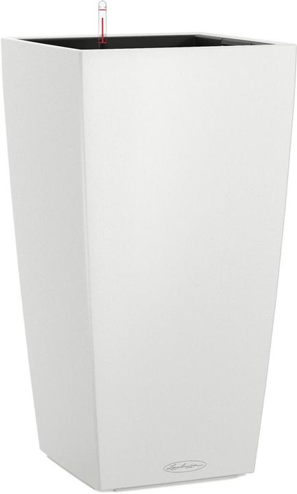 Actual product image Lechuza Cubico Color (22 cm)