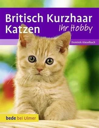 Actual product image Britisch Kurzhaar Katzen (German, Heidi Betz, Dominik Kieselbach, Anita Betz, 2011)