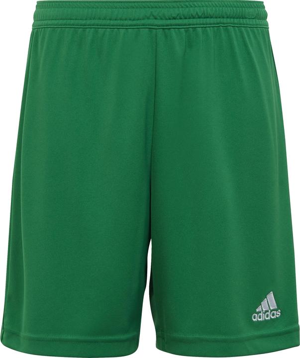 Actual product image adidas Children's shorts Entrada 22 green IC7410 (164cm) (164)