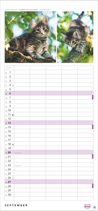 Image du produit Whiskas'Cattitude'Familienplaner2026 (21 x 45 cm, Couverture rigide, Allemand)