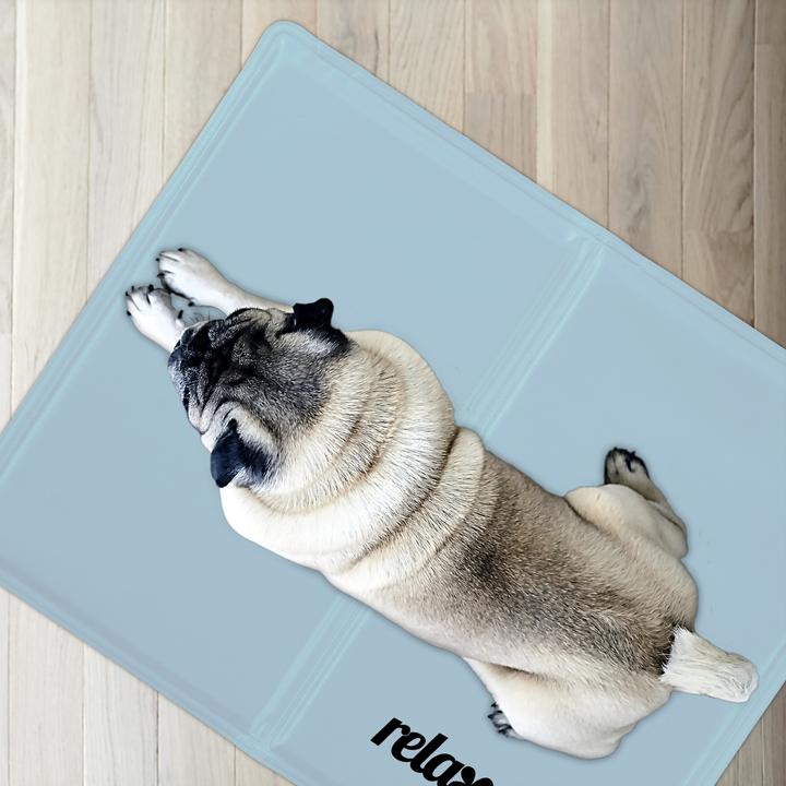 Immagine prodotto Relaxdays Tappetino di raffreddamento (Cane, Gatto)
