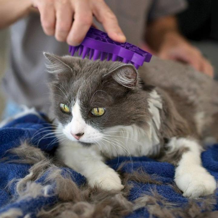 Actual product image KONG zoom groom (Cat)