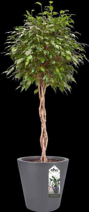 Produktbild Elho Pflanztopf Pure straight round Kunststoff 50 H 51 cm anthrazit (49.50 cm)
