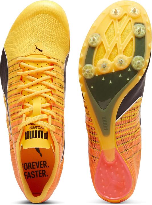 Actual product image Puma evoSPEED FUTURE 6 (44.5)