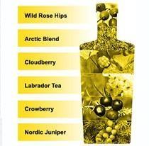 Produktbild Ungava Canadian Premium Gin (1 x 70 cl)