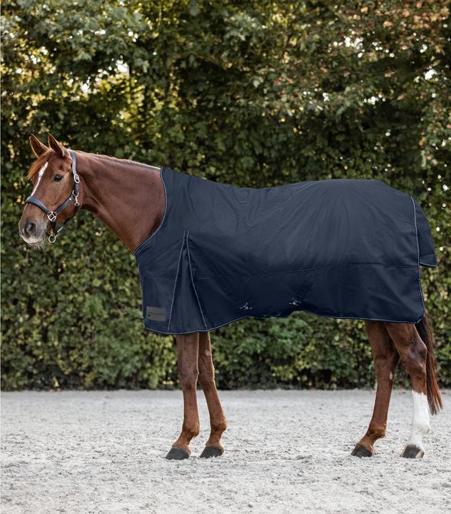 Waldhausen Nordic (165 cm)
