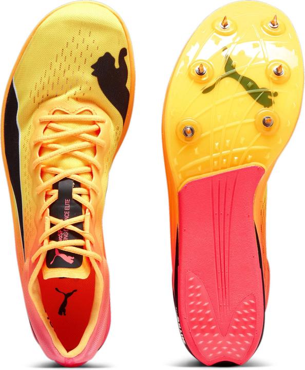 Produktbild Puma evoSPEED Long Distance Nitro Elite+ (45)