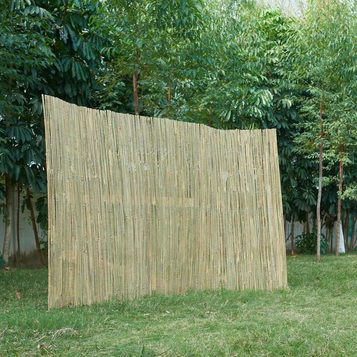 Actual product image Casa.Pro Baarle