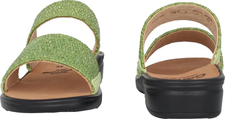 Actual product image Ganter Sonnica (40.5)