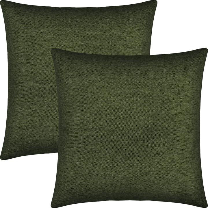 Coussin décoratif
