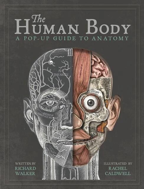Produktbild The Human Body (Englisch, Richard Walker, Rachel Caldwell, 2018)